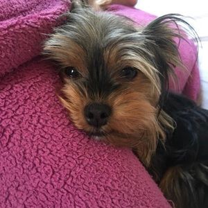 Meet your Posher, Deanna